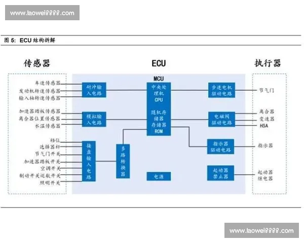 聚焦年度大奖得主成长轨迹与时代价值及行业影响的深度解读