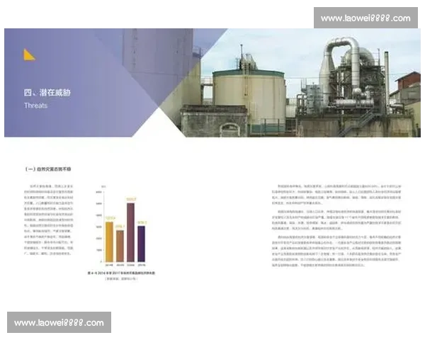 以足球协会为核心推动青训改革与职业联赛高质量发展路径研究